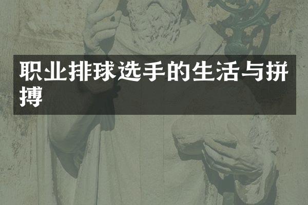 职业排球选手的生活与拼搏