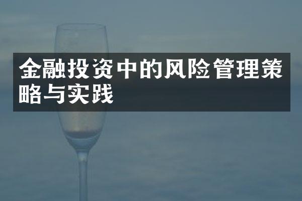 金融投资中的风险管理策略与实践