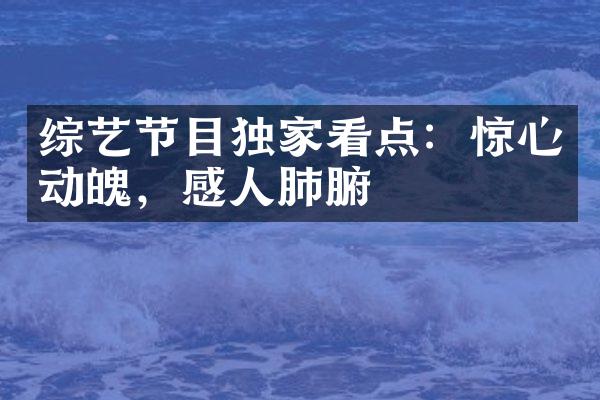 综艺节目独家看点：惊心动魄，感人肺腑