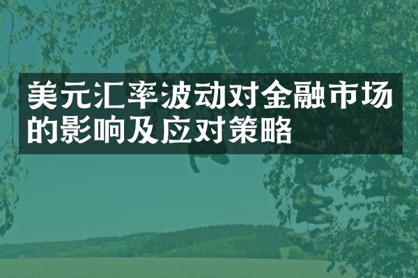 美元汇率波动对金融市场的影响及应对策略