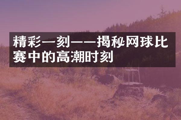 精彩一刻——揭秘网球比赛中的高潮时刻