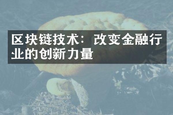 区块链技术：改变金融行业的创新力量