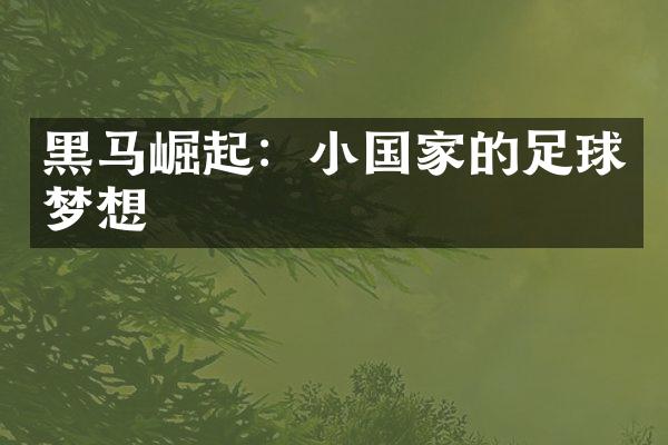 黑马崛起：小国家的足球梦想