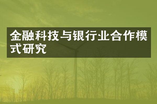 金融科技与银行业合作模式研究