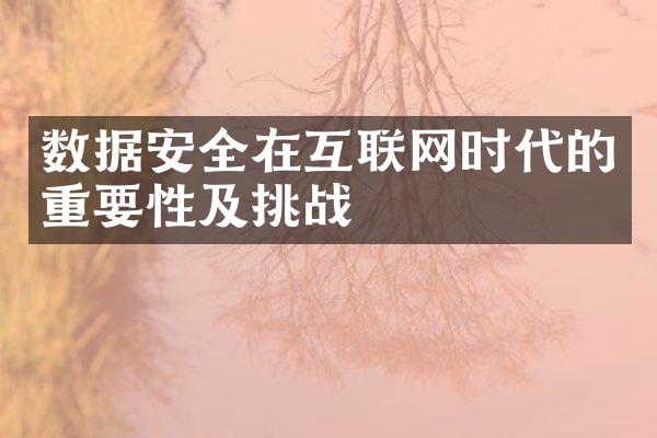 数据安全在互联网时代的重要性及挑战