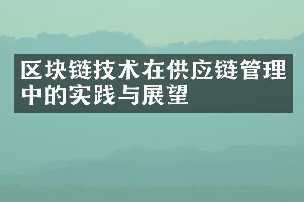 区块链技术在供应链管理中的实践与展望