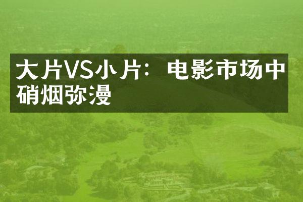 片VS小片：电影市场中的硝烟弥漫