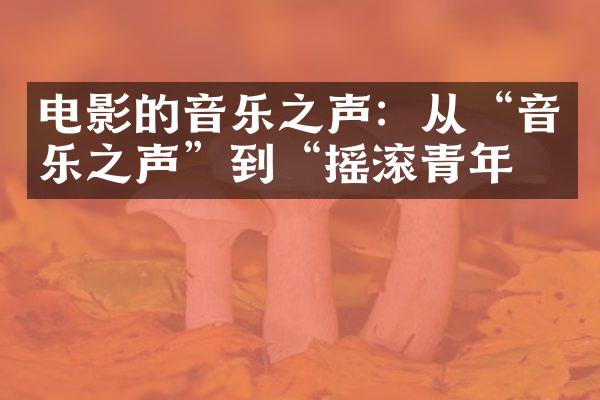 电影的音乐之声：从“音乐之声”到“摇滚青年”