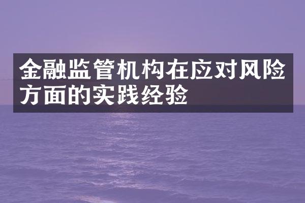 金融监管机构在应对风险方面的实践经验