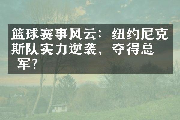 篮球赛事风云：纽约尼克斯队实力逆袭，夺得总冠军？