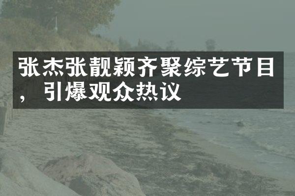 张杰张靓颖齐聚综艺节目，引爆观众热议