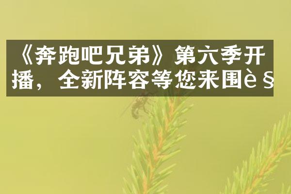 《奔跑吧兄弟》第六季开播，全新阵容等您来围观