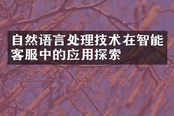 自然语言处理技术在智能客服中的应用探索