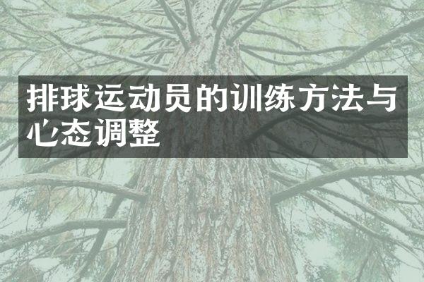 排球运动员的训练方法与心态调整