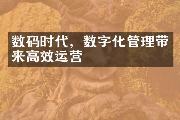 数码时代，数字化管理带来高效运营