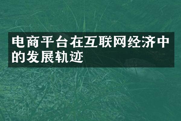 电商平台在互联网经济中的发展轨迹