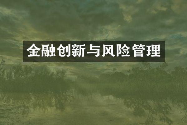 金融创新与风险管理