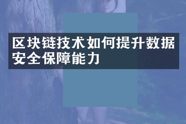 区块链技术如何提升数据安全保障能力