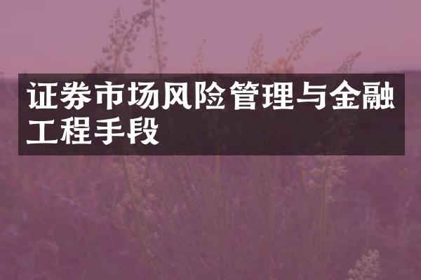 证券市场风险管理与金融工程手段