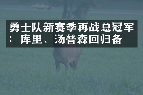 勇士队新赛季再战总冠军：库里、汤普森回归备战