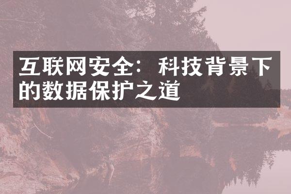 互联网安全：科技背景下的数据保护之道