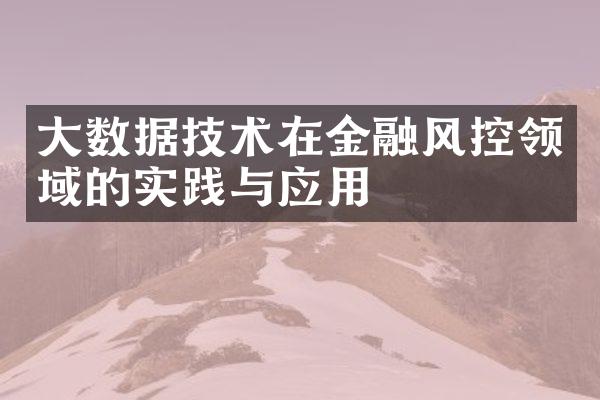 大数据技术在金融风控领域的实践与应用