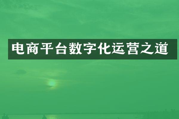 电商平台数字化运营之道