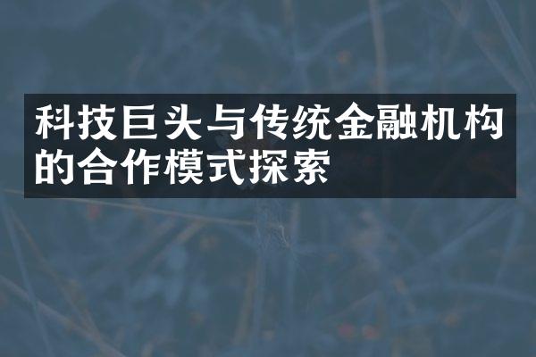 科技巨头与传统金融机构的合作模式探索