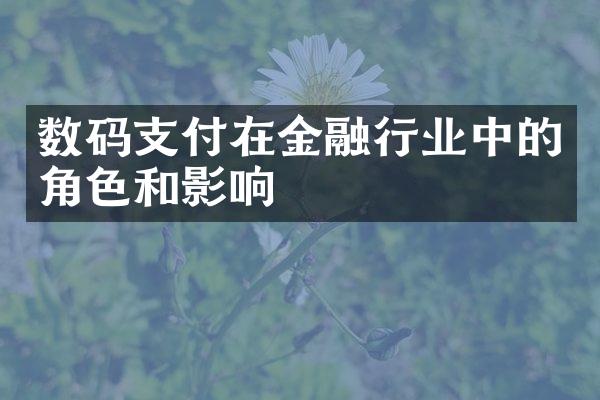 数码支付在金融行业中的角色和影响