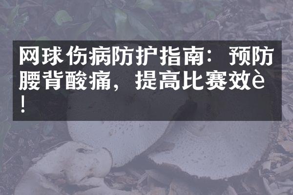 网球伤病防护指南：预防腰背酸痛，提高比赛效能！