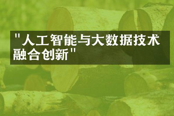 "人工智能与大数据技术的融合创新"