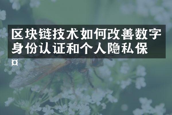 区块链技术如何改善数字身份认证和个人隐私保护