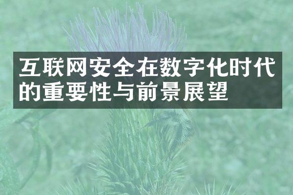 互联网安全在数字化时代的重要性与前景展望