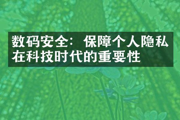 数码安全：保障个人隐私在科技时代的重要性