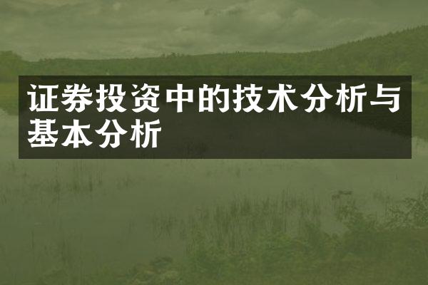 证券投资中的技术分析与基本分析