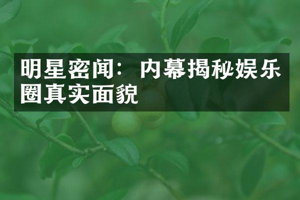 明星密闻：内幕揭秘娱乐圈真实面貌