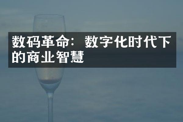 数码：数字化时代下的商业智慧