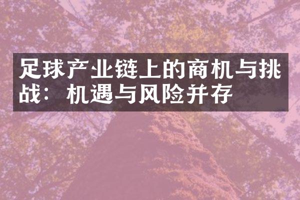 足球产业链上的商机与挑战：机遇与风险并存