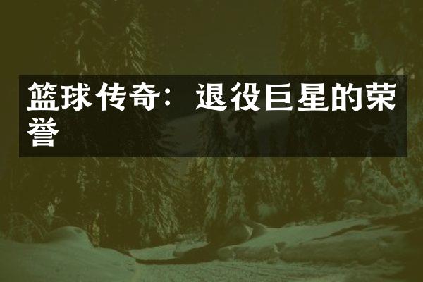 篮球传奇：退役巨星的荣誉