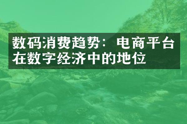 数码消费趋势：电商平台在数字经济中的地位