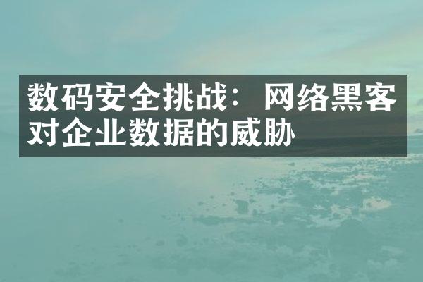 数码安全挑战：网络黑客对企业数据的威胁