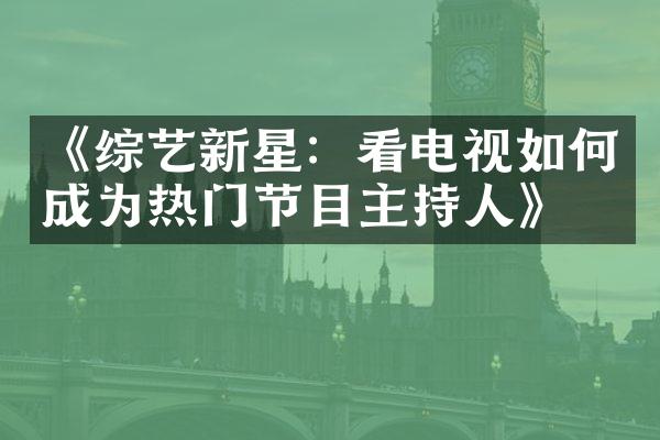 《综艺新星：看电视如何成为热门节目主持人》