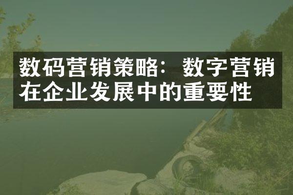 数码营销策略：数字营销在企业发展中的重要性