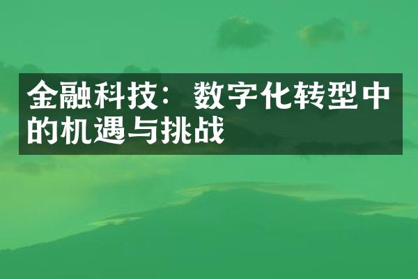 金融科技：数字化转型中的机遇与挑战