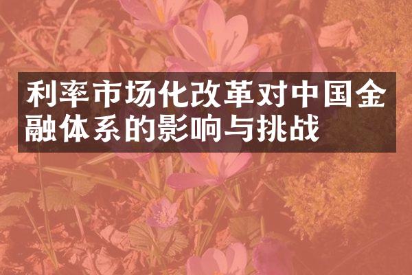 利率市场化改革对中国金融体系的影响与挑战