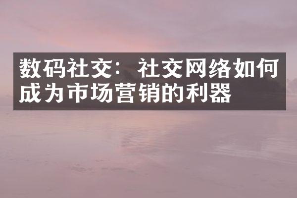 数码社交：社交网络如何成为市场营销的利器