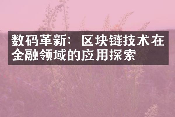 数码革新：区块链技术在金融领域的应用探索