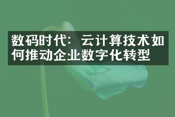 数码时代：云计算技术如何推动企业数字化转型