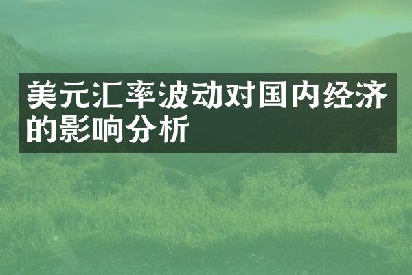 美元汇率波动对国内经济的影响分析