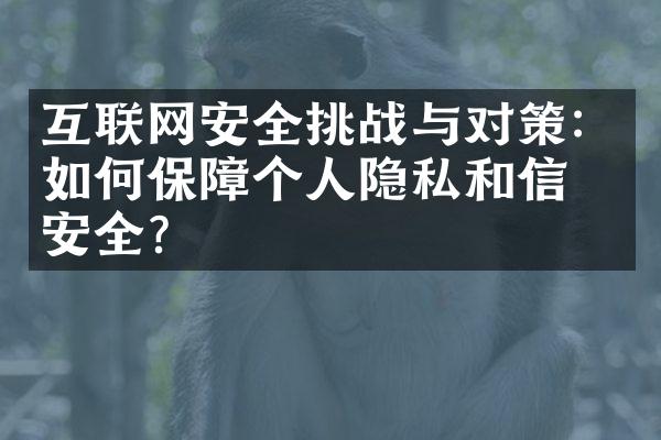 互联网安全挑战与对策：如何保障个人隐私和信息安全？